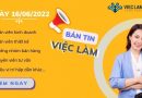 việc làm Đà Nẵng ngày 16/06/2022