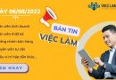 việc làm Đà Nẵng ngày 06/08/2022