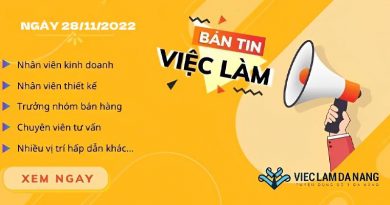 Bản tin tổng hợp việc làm Đà Nẵng ngày 28/11/2022