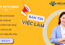 Bản tin tổng hợp việc làm Đà Nẵng 21/11/2022